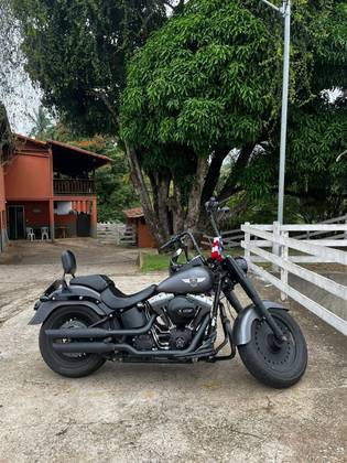 HARLEY-DAVIDSON SOFTAIL FAT BOY SPECIAL 